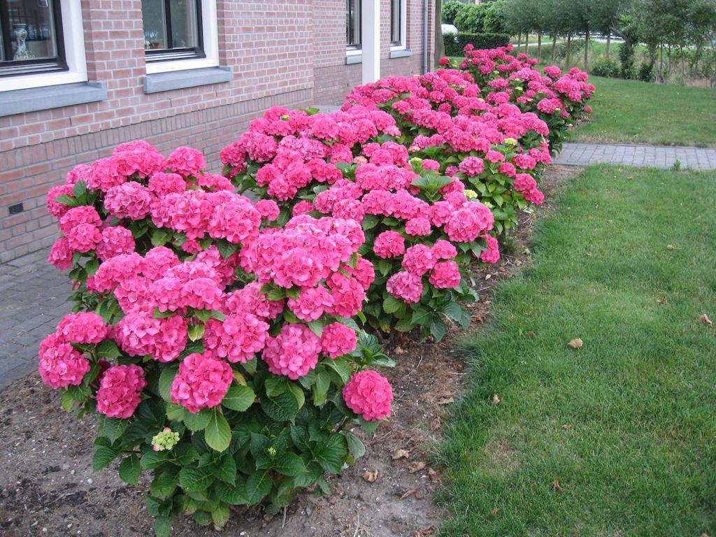 B&B Oostzomerland Mijnsheerenland 외부 사진